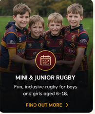 Mini & Junior Rugby
